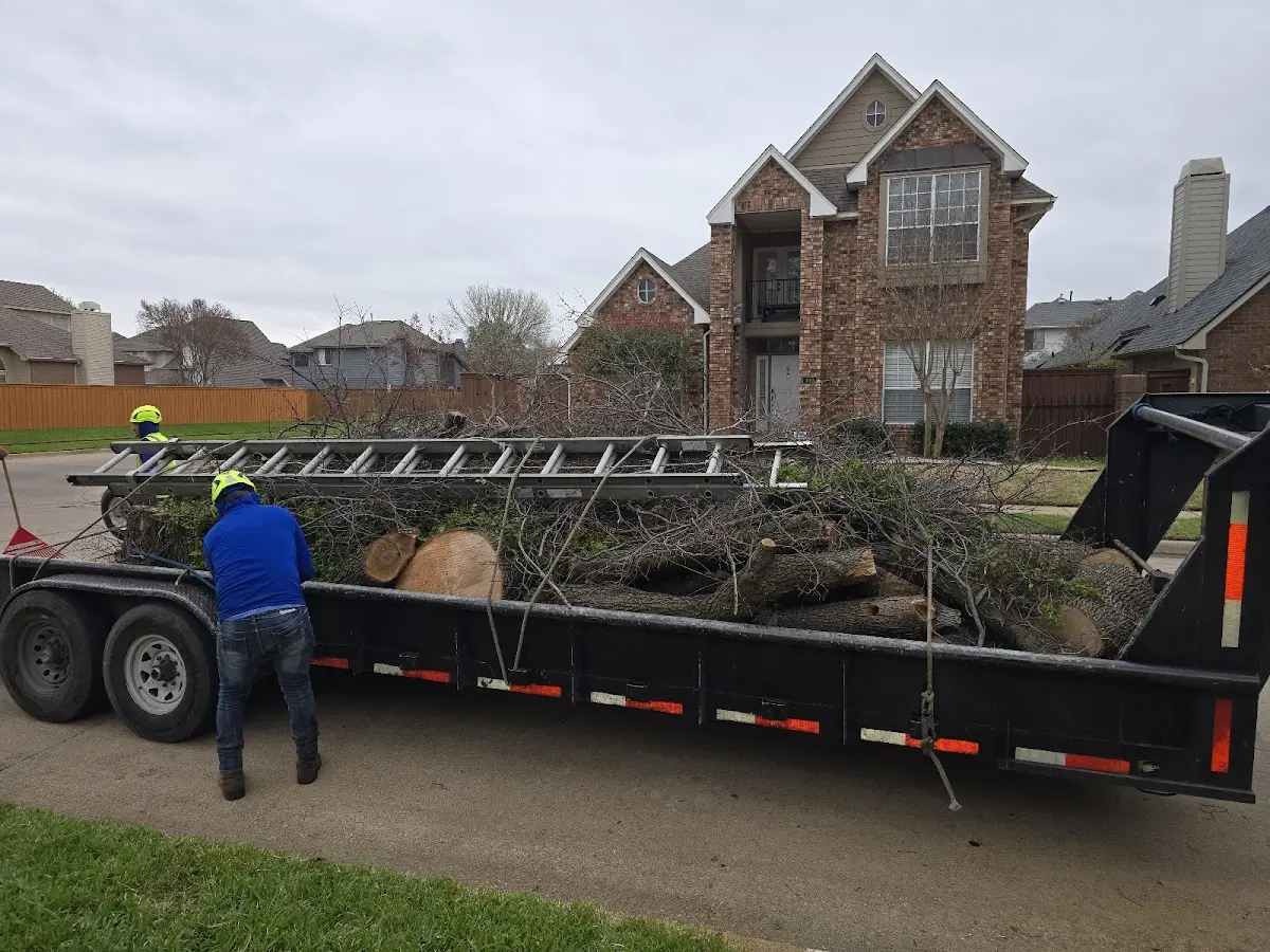 Expert Lot Clearing with proper safety equipment in Fond Du Lac